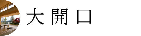 大開口