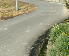 P1050206