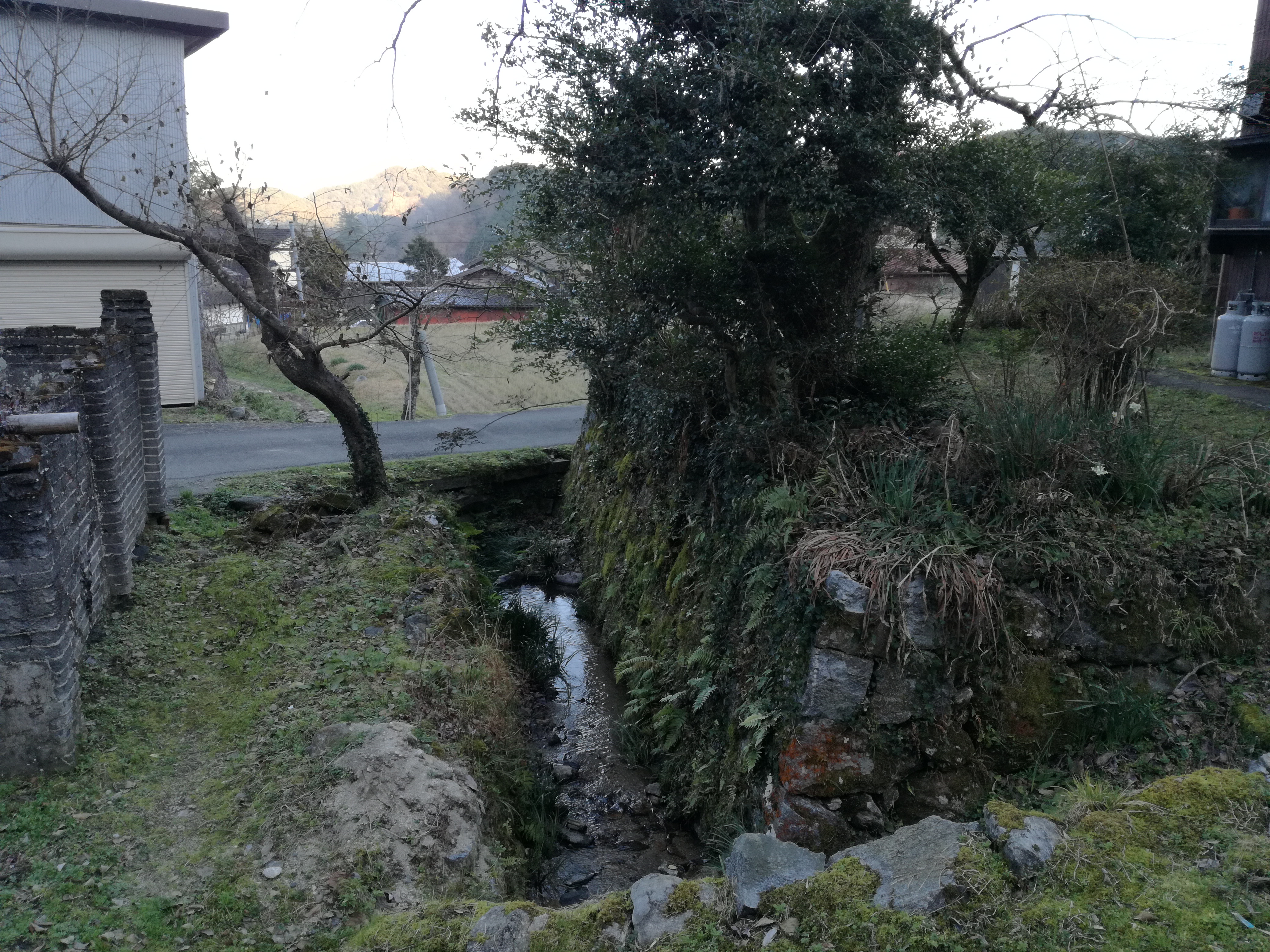 実家の敷地内に小川が流れています。