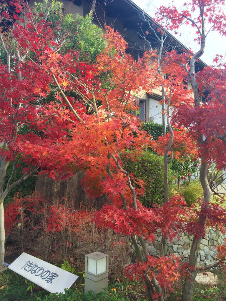 秋の植栽イベント