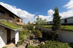 屋根緑化のお話